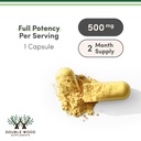 berberine-supplement-500mg-high-purity-9-3.jpg