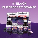 sambucol-black-elderberry-syrup-for-kids-4.jpg