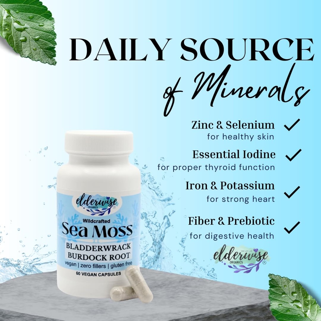elderwise-sea-moss-capsules-sea-moss-wit-3.jpg