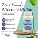 elderwise-sea-moss-capsules-sea-moss-wit-2.jpg