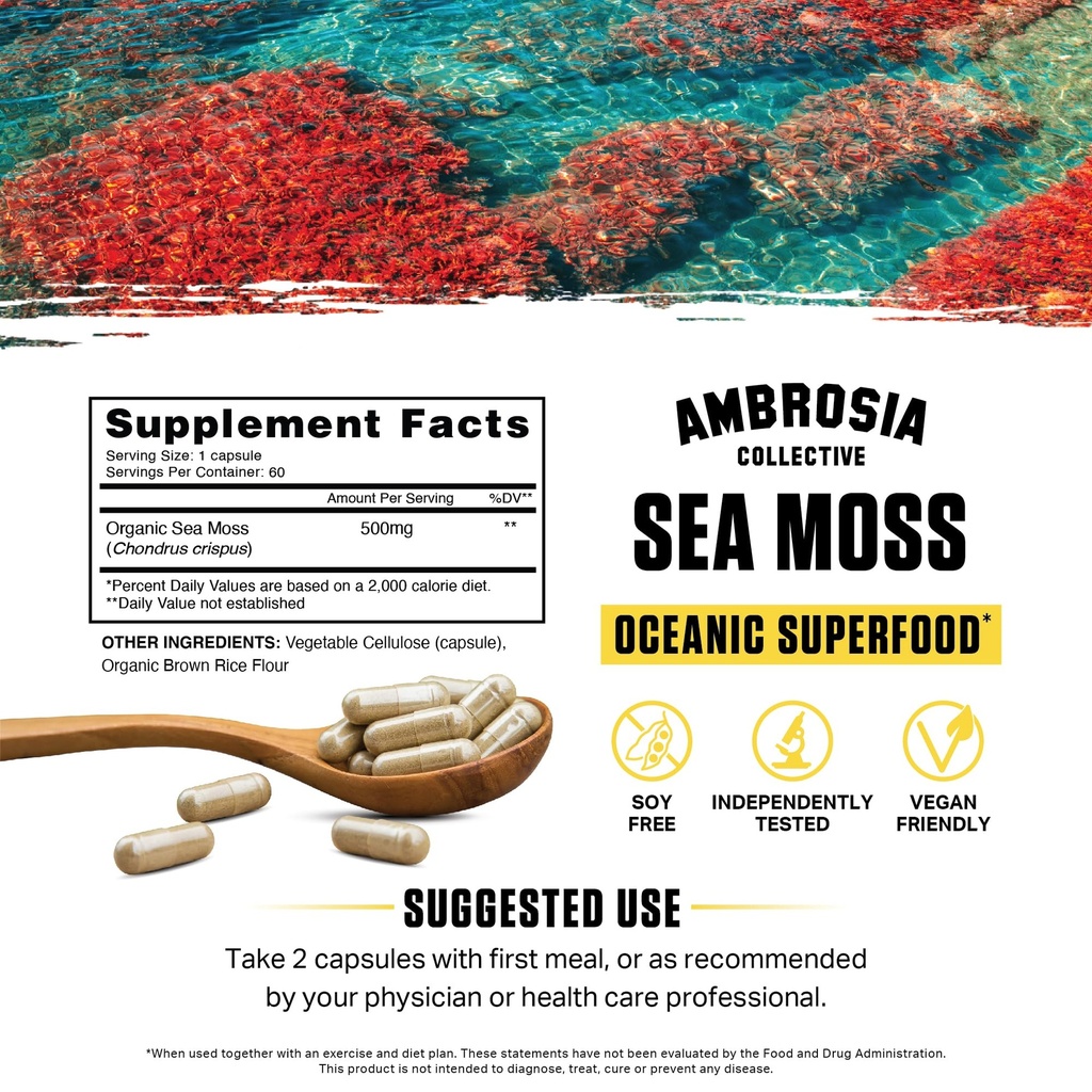 ambrosia-organic-irish-sea-moss-capsules-2.jpg