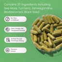 sea-moss-black-seed-oil-bladderwrack-tur-3.jpg