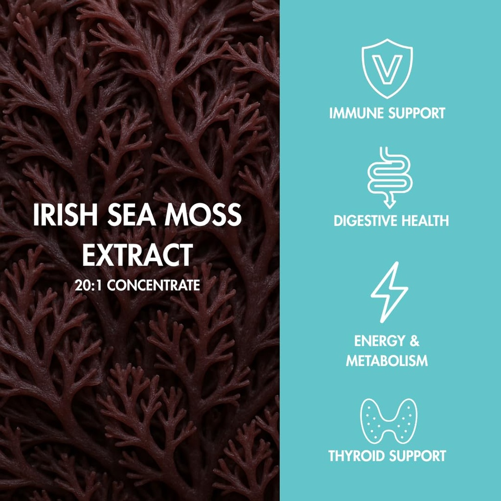 perform-gummys-irish-sea-moss-with-burdo-4.jpg
