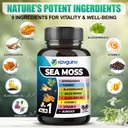 9-in-1-sea-moss-black-seed-oil-ashwagand-2.jpg