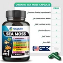 9-in-1-sea-moss-black-seed-oil-ashwagand-4.jpg