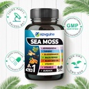 9-in-1-sea-moss-black-seed-oil-ashwagand-6.jpg