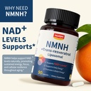 nmnh-nad-supplement-liposomal-600mg-nmn--3.jpg