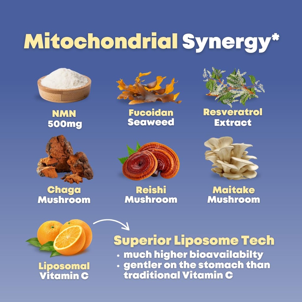 nmn-500mg-fucoidan-with-trans-resveratro-5.jpg