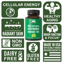 peak-performance-nicotinamide-riboside-n-3.jpg