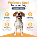 liver-health-supplement-for-medium-dogs--6.jpg