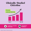 lemme-focus-concentration-brain-health-g-4.jpg