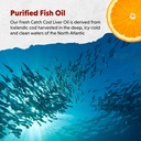 barlean-s-omega-3-fish-oil-liquid-supple-5.jpg