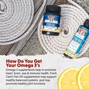 barlean-s-omega-3-fish-oil-liquid-supple-6.jpg