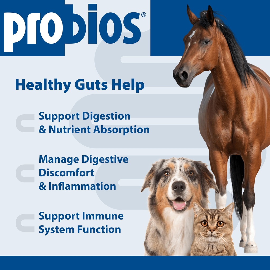 probios-digestive-support-probiotic-for--3.jpg
