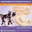 probiotics-for-dogs-glucosamine-for-dogs-2.jpg