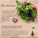 best-botanicals-barberry-root-bark-cut-1-2.jpg