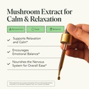fantastic-fungi-reishi-mushroom-extract--2.jpg