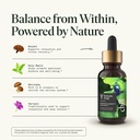 fantastic-fungi-reishi-mushroom-extract--4.jpg