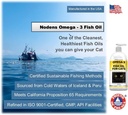 nodens-natural-fish-oil-for-cats-skin-co-4.jpg