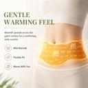 balance-patch-with-herbal-formula-japane-6.jpg