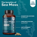 sea-moss-irish-sea-moss-capsules-with-bl-2.jpg