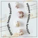 elare-aged-garlic-extract-elare-aged-gar-6.jpg