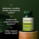 banyan-botanicals-organic-shatavari-tabl-2.jpg