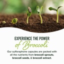 50mg-sulforaphane-supplement-from-brocco-4.jpg