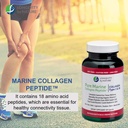 longevity-by-nature-marine-collagen-pept-4.jpg