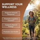 aurashroom-mushroom-supplement-lions-man-2.jpg