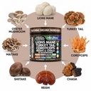 aurashroom-mushroom-supplement-lions-man-4.jpg