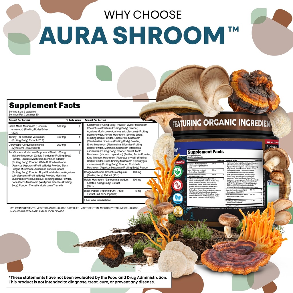 aurashroom-mushroom-supplement-lions-man-5.jpg