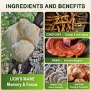 zebora-lions-mane-supplement-capsules-5--5.jpg