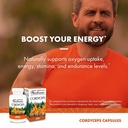 host-defense-bundle-with-cordyceps-capsu-3.jpg