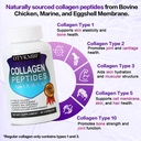 multi-collagen-peptides-pills-1800mg-typ-2.jpg