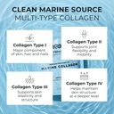 marine-collagen-peptides-powder-unflavor-3.jpg