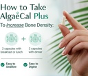 algaecal-bundle---all-natural-calcium-su-6.jpg