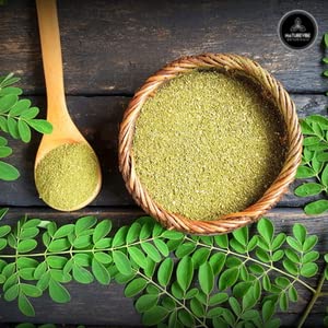 naturevibe-botanicals-moringa-green-leaf-3.jpg