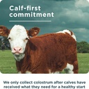 ancient-nutrition-colostrum-superfood-po-6.jpg