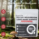 mushroom-gummies-with-lion-s-mane-alpha--2.jpg