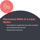 allergy-research-group-arg-dhea-10-micro-4.jpg