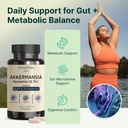 vinatura-akkermansia-probiotic-akkermans-3.jpg