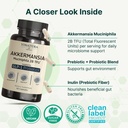 vinatura-akkermansia-probiotic-akkermans-4.jpg