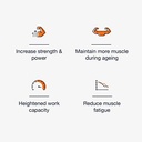 hmb-creatine-supplement-3g-daily-hmb-for-5.jpg