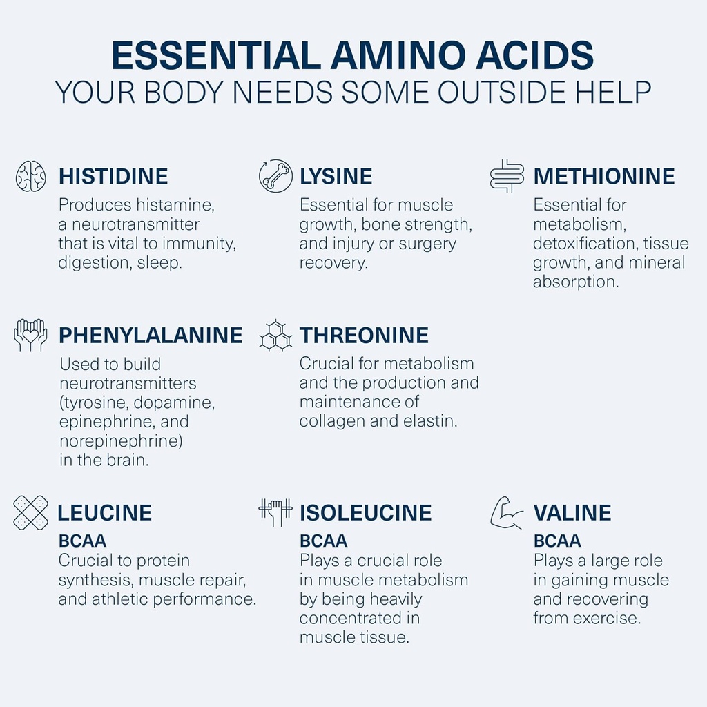 the-amino-co-perform-pre-workout-powder--4.jpg