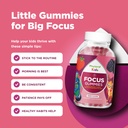 phytoral-vegan-kids-focus-gummies-potent-6.jpg