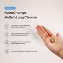 nutrachamps-mullein-leaf-extract-for-lun-3.jpg
