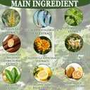 mullein-lung-cleansing-spray-organic-her-2.jpg