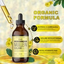 mullein-drops-lung-cleanse-120000mg-mull-6.jpg