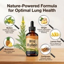 wild-mullein-drops-for-lungs-with-ginger-2.jpg